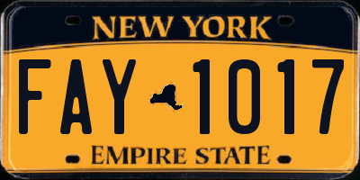 NY license plate FAY1017