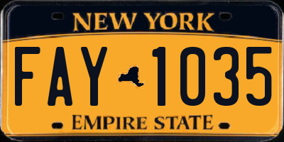 NY license plate FAY1035