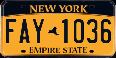 NY license plate FAY1036