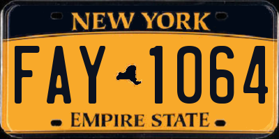 NY license plate FAY1064