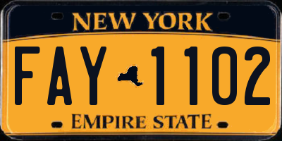 NY license plate FAY1102