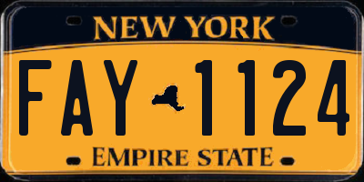 NY license plate FAY1124