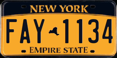 NY license plate FAY1134