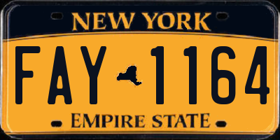 NY license plate FAY1164