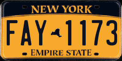 NY license plate FAY1173