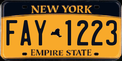 NY license plate FAY1223