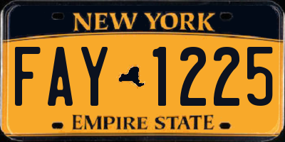 NY license plate FAY1225