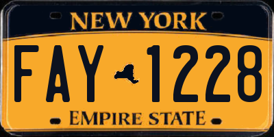 NY license plate FAY1228