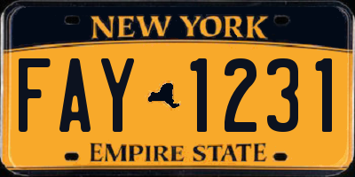 NY license plate FAY1231