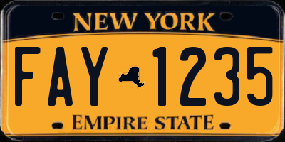 NY license plate FAY1235