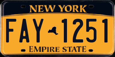 NY license plate FAY1251