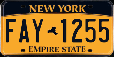 NY license plate FAY1255