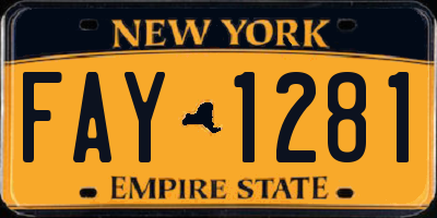 NY license plate FAY1281