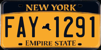 NY license plate FAY1291