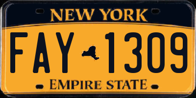 NY license plate FAY1309