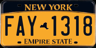 NY license plate FAY1318