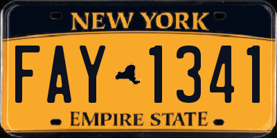 NY license plate FAY1341