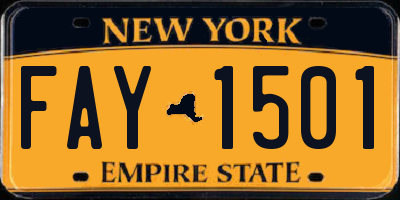 NY license plate FAY1501