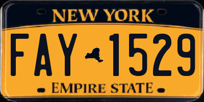 NY license plate FAY1529