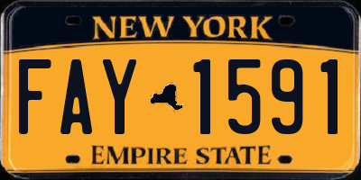NY license plate FAY1591