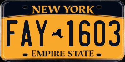 NY license plate FAY1603
