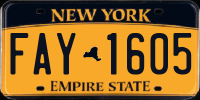 NY license plate FAY1605