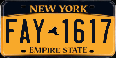 NY license plate FAY1617