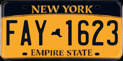 NY license plate FAY1623