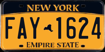 NY license plate FAY1624