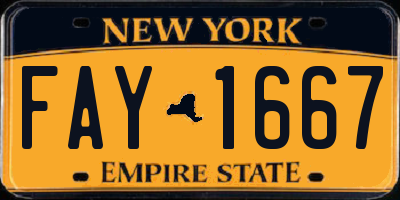 NY license plate FAY1667