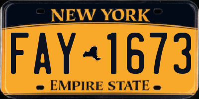 NY license plate FAY1673