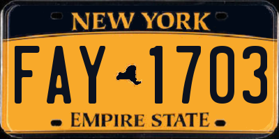 NY license plate FAY1703
