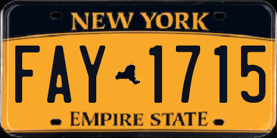 NY license plate FAY1715