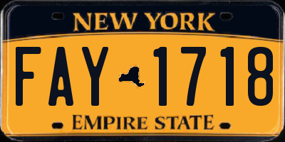 NY license plate FAY1718