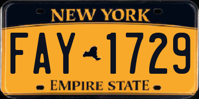 NY license plate FAY1729