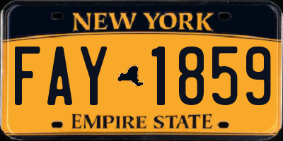 NY license plate FAY1859