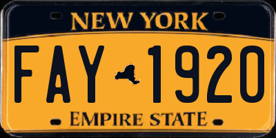 NY license plate FAY1920
