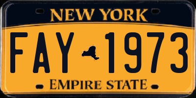 NY license plate FAY1973