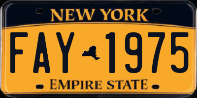 NY license plate FAY1975