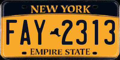 NY license plate FAY2313