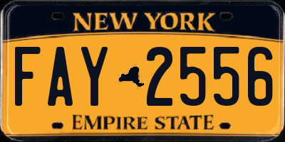 NY license plate FAY2556