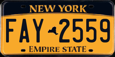 NY license plate FAY2559