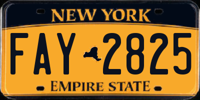 NY license plate FAY2825
