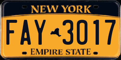 NY license plate FAY3017