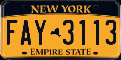NY license plate FAY3113