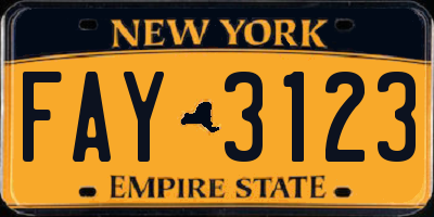 NY license plate FAY3123