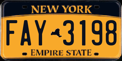 NY license plate FAY3198
