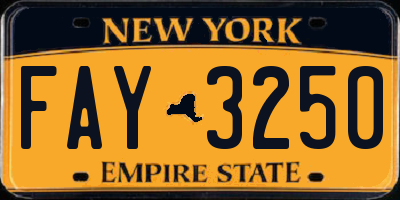 NY license plate FAY3250