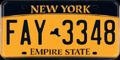 NY license plate FAY3348