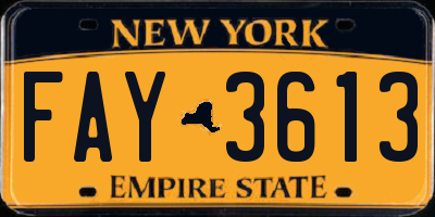NY license plate FAY3613